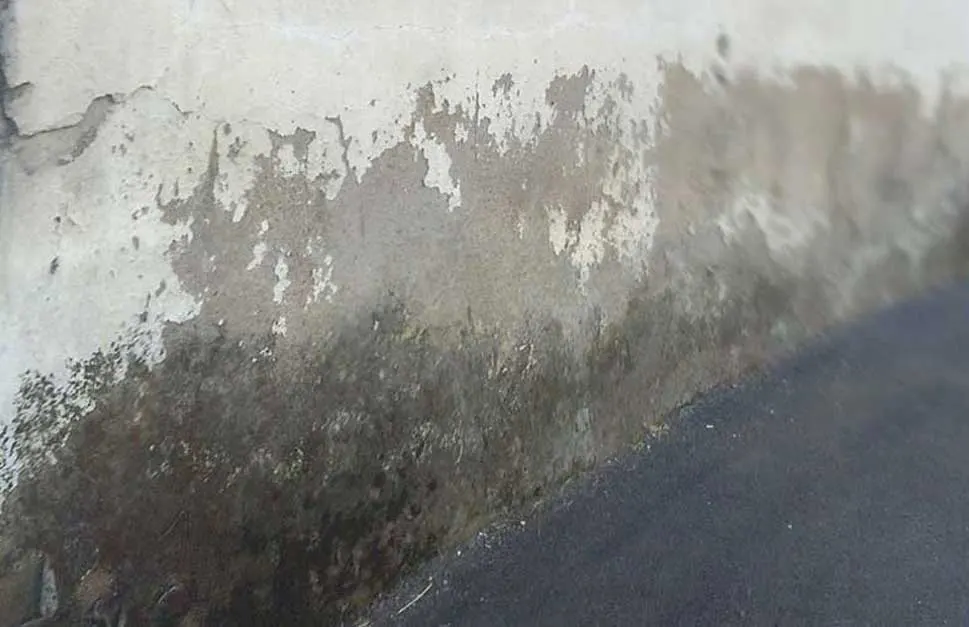 remontée capillaire